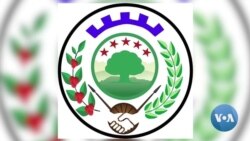 KFOn Rakkoo Nageenyaa Wallaggaaf Furmaata Hatattamaa Gaafate 