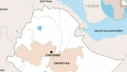 Jiraattoonni Shawaa Kaabaa, Aanaa Darraa Sababaa Walitti-bu’insaa Kan WBO fi Kan Faannootiin Jireenyi Isaanii Yaaddoorra Bu’uu Dubbatan 