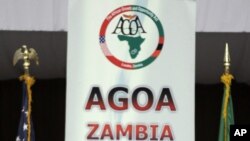 Secretary of State Hillary Clinton speaks at a conference in Luska, Zambia, June 10, 2011