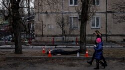 VOA专访: 乌克兰议员分娩在即 奔走美国国会争取支持