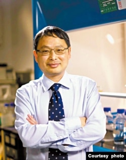 香港大学生物医学学院教授金冬雁 （照片由本人提供）