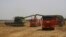 FILE - Farmers harvest with their combines in a wheat field near the village Tbilisskaya, Russia, July 21, 2021.