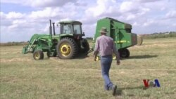 持续干旱困扰俄克拉荷马农民