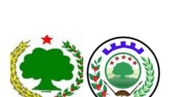 ABO fi KFOn Akka Mootummaan WBO Dabalee  Gareelee Hunda Haasawa Araaraatti Hirmaachisu Gaafatan 