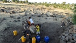 Itiyoophiyaatti Dhiibban Ijoollee Durbarra Gahu Bakka Yaadan Akka Isaan Hin Geenye Dangaa Guddaa Dha, Jedhame