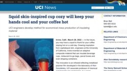 В США создали терморегулирующий материал, вдохновившись кожей кальмара 