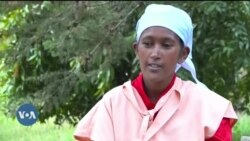 Wiirtuun Dandamachiisa Feestullaa Buraayyutti Argamu Leenjii Hegeree Dhibamtootaa Wayyoomsu Kennaa Jira 