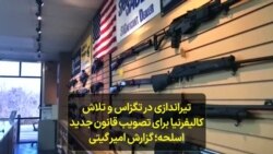 تیراندازی در تگزاس و تلاش کالیفرنیا برای تصویب قانون جدید اسلحه؛ گزارش امیر گیتی