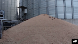 Drithi qëndron prej javësh në portet ukrainase