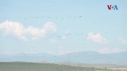 Брз одговор 22: Масовна вежба со падобранци на Криволак