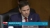 Senate Marco Rubio Vle pou Some Dez Amerik la Diskite sou Ayiti 