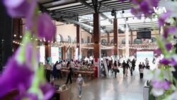 Azərbaycan İstehsalçılar Festivalı