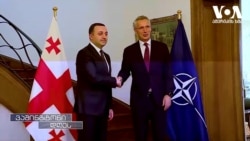 "ნატოს სამიტზე საქართველოს წინსვლა არ ექნება" - ჰერბსტი