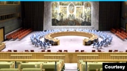 资料：联合国安理会 (网页截屏)