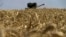 FILE - This July 31, 2022, photo shows a grain combine harvester collecting wheat near Novoazovsk outside Mariupol, amid the ongoing Russian military action in Ukraine. 