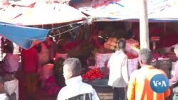 Haala Qophii Kabaja Ayyaana Qiillee