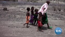 ትግራይ ክልል የሚገባው እርዳታ እንዲጨምር እየሠራ መሆኑን ተመድ አስታወቀ