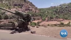 “ዘላቒን ሓቀኛን ሰላም ክኸውን ንትስፎ፡” ነበርቲ ጕሎመኸዳ