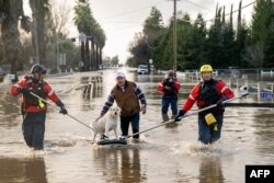 ນັກດັບເພີງຈາກເມືອງ ຊານດີເອໂກ ຊ່ວຍເຫຼືອ ຮໍາເບີໂຕ ມາຊຽລ ດ້ວຍການຊ່ວຍຊີວິດໝາຂອງລາວຈາກເຮືອນທີ່ຖືກນໍ້າຖ້ວມ ໃນເມືອງເມີເຊ, ລັດຄາລິຟໍເນຍ, ວັນທີ 10 ມັງກອນ 2023.