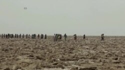 ምትእትታው ዘመናዊ መነባብሮ ኣብቲ ንዘመናት ዝጸንሓ ባህላዊ ማዕድን ጨው ኢትዮጵያ