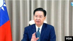 视频截图：台湾外交部长吴钊燮当地时间2022年11月4日通过Skype接受美国之音驻美国国务院记者站主任张蓉湘的专访。