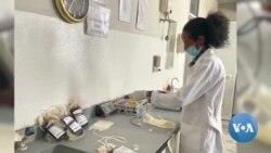 ኤርትራ:ኣባላት ኩባንያ ህንጻ ብድሆ ብጥርኑፍ ደም ይልግሱ