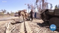 በሰሜን ወሎ ዞን አካባቢዎች ተቋርጦ የነበረው የስልክ አገልግሎት ጀመረ