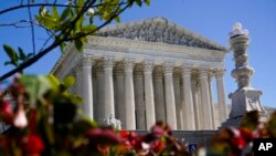 Godina e Gjykatës së Lartë të Shteteve të Bashkuara