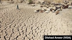 Dhul ay abaari ka jirto