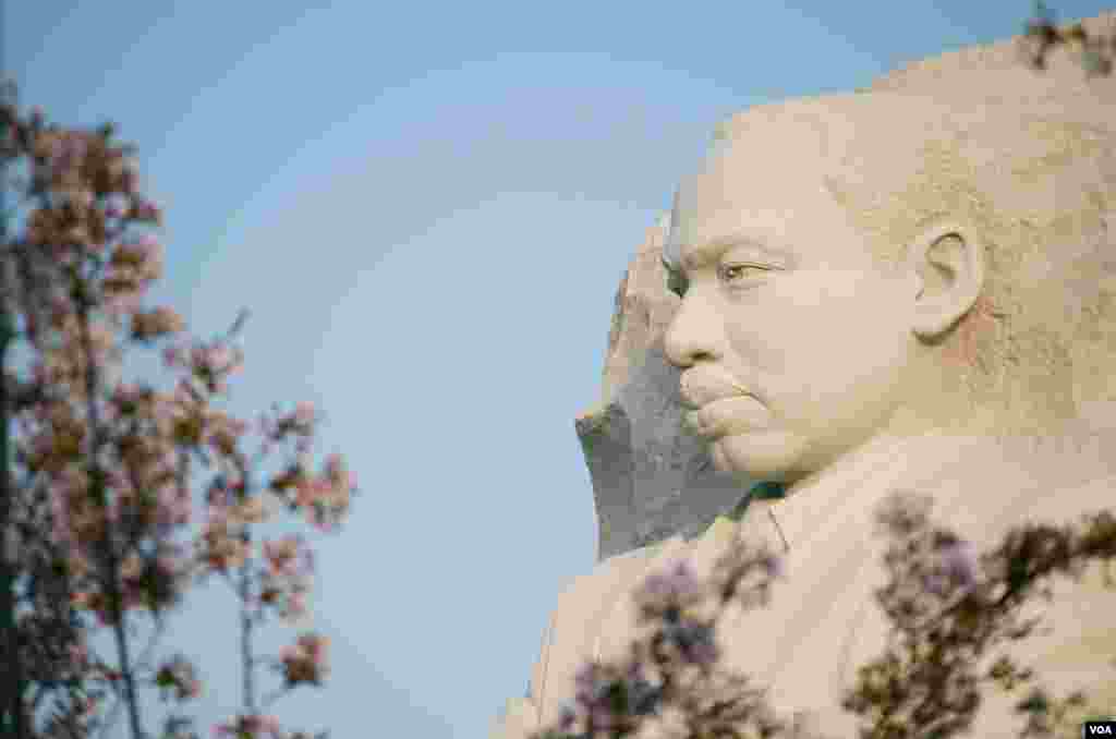 潮汐湖畔有马丁&middot;路德&middot;金雕像。2018年4月4号是美国民权运动领袖马丁&middot;路德&middot;金遇刺50周年纪念日。这位诺贝尔和平奖获得者在1968年遇刺身亡。纪念园位于两位美国前总统托马斯.杰斐逊和林肯的纪念堂之间。