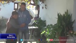 Vrasja e grave dhe vajzave në Shqipëri, kërkohet shtim i masave