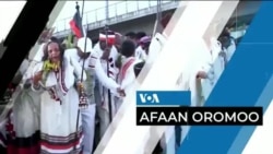 Tamsaasa Guyaadhaa Guyyaa