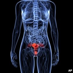 A study of hospital records shows three-quarters of young women chose not to get the HPV vaccine which can prevent cervical cancer.