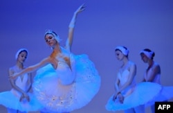 2020年1月29日，俄罗斯皇家芭蕾舞团的舞者在波哥大科隆剧院的排练中表演天鹅湖的场景。