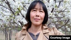 《民生观察》编辑丁灵杰（丁灵杰推特）