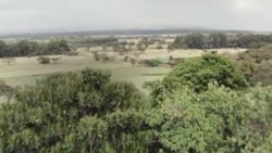 პიტერ ტაბიჩის წარდგენა