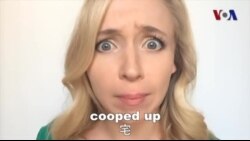 OMG!美语Cooped Up!