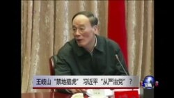 时事大家谈：王岐山 “禁地猎虎” 习近平“从严治党”？