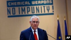 آقای تیلرسون سه شنبه شب در نشستی در پاریس درباره حمله شیمیایی سخنرانی کرد.