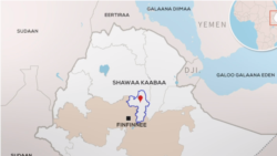 Gargaaramtoonni Shawaa Kaabaa, Aanaa Yaayyaa Keessaa Rakkoof Saaxilamuu Himatan