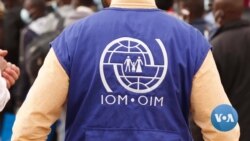 Lakkoobsi Buqqaatotaa Itiyoophiyaa Keessaa Ka Bara Dabreerraa Gadi Hir’ate Jedhame 