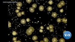 英语视频：微生物 - 我们肠道中的健康标兵