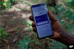 Cyril Fianyo, a farmer and beneficiary under the Uniti Networks project, shows a message he received on his phone at his farm in Atabu, Hohoe, in Ghana's Volta region, Wednesday, April 18, 2024. (AP Photo/Misper Apawu)