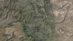 የሰሜን ወሎ ዞን ሦስት ከተሞች የዛሬ ውሎ