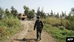 叙利亚官方通讯社发布的照片显示，叙利亚政府军士兵2015年10月15日走在哈马的西北部乡村的一条路上。