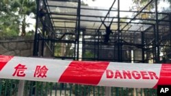 ຄອກຂອງລີງທີ່ໄດ້ເສຍຊີວິດຢ່າງລຶກລັບ ໃນສວນສັດທີ່ຮົ່ງກົງ ໄດ້ຖືກປິດລ້ອມດ້ວຍແຜ່ນທີ່ລະບຸເປັນເຂດອັນຕະລາຍ, ເມື່ອວັນອັງຄານ ທີ 15 ຕຸລາ, 2024. (AP Photo) 