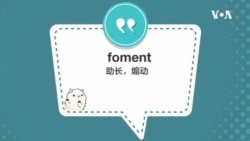 学个词 - foment