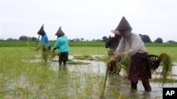 လယ်ယာမြေ သိမ်းဆည်းခံရတဲ့ ပြဿနာတွေဟာ လွှတ်တော်ထဲအထိ ရိုက်ခတ်လာနေတာပါ။