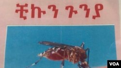 ቺኩን ጉንያ የተባለ አዲስ ወረርሽኝ