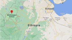 Godiina Matakkal Keessatti Kanneen Baatileef Hidhaman Seera Duratti Hin Dhiyaatiin Jiru: Maatii